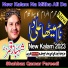 Shahbaz Qamar Fareedi