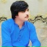 Gull Mashom