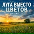 Сергей Малахов