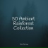 Ambient Rain, meditacou musica ambiente, Lluvia PQ