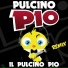 Pulcino Pio