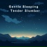 Relaxing BGM Project