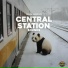 Panda Ambience, Panda Sleep, Panda Music