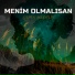 Şahin Mecnun
