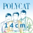 POLYCAT