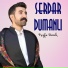 Serdar Dumanlı