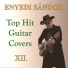 Sandor Enyedi