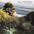 Ball-Point Birds, Greg Loiacono, Tim Bluhm