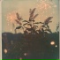 Boy made flower