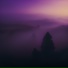 YSN