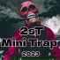 2sT