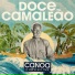 Doce Camaleão