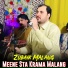 Zubair Malang