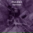 PALEKS