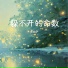 王又宁