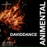 Daviddance