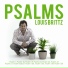 Louis Brittz