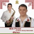 Mile Povan, Florin Ionas Generalul