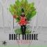 Dobet Gnahoré