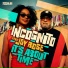 Incognito feat. Joy Rose