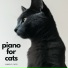 Piano for cats, Music for cats