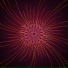 Echoes and Signals