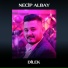 Necip Albay