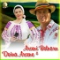 Arseni Botnaru, Doina Arsene