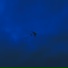 Luminophore