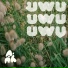 uwu
