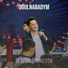 palwan halmyradow