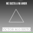 Victor M.G Brito