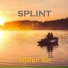 SPLINT