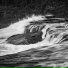 Dawnbrook