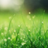Massagem, 125 Nature Sounds, Calming Sounds