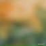 quietbeat, RenBoz, VOLKHIN