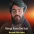 Naseeb Ullah Agha