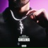 SVFVRI, BlackBabyCat