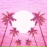 Sora Miami