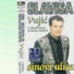 Slavisa Vujic