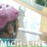 Mich-Line