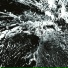 SARM?, noise