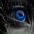 Yarema