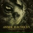 Animal Electricity