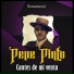 Pepe Pinto