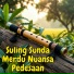 rudyalimits