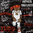Various Artists