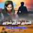 Khosh Naseeb Janan