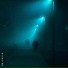 dieorium