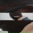 Mann Ross